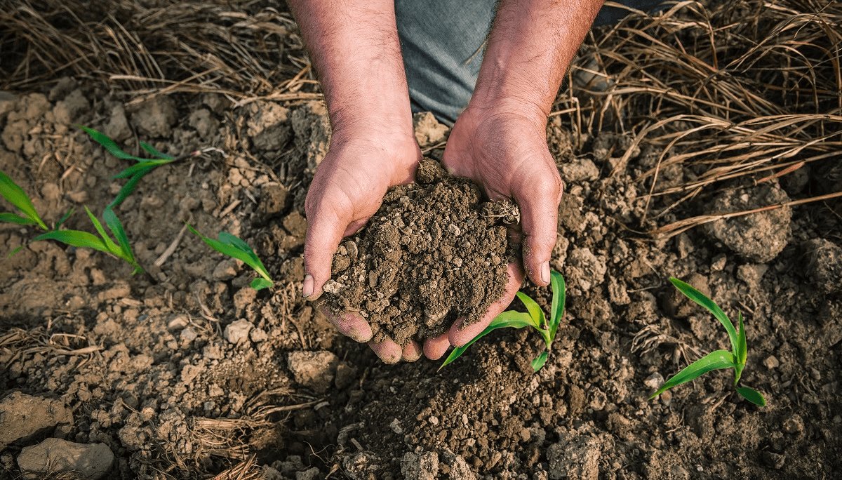 Polémica en el agro bonaerense por un Proyecto de Ley que busca regular el uso de suelos