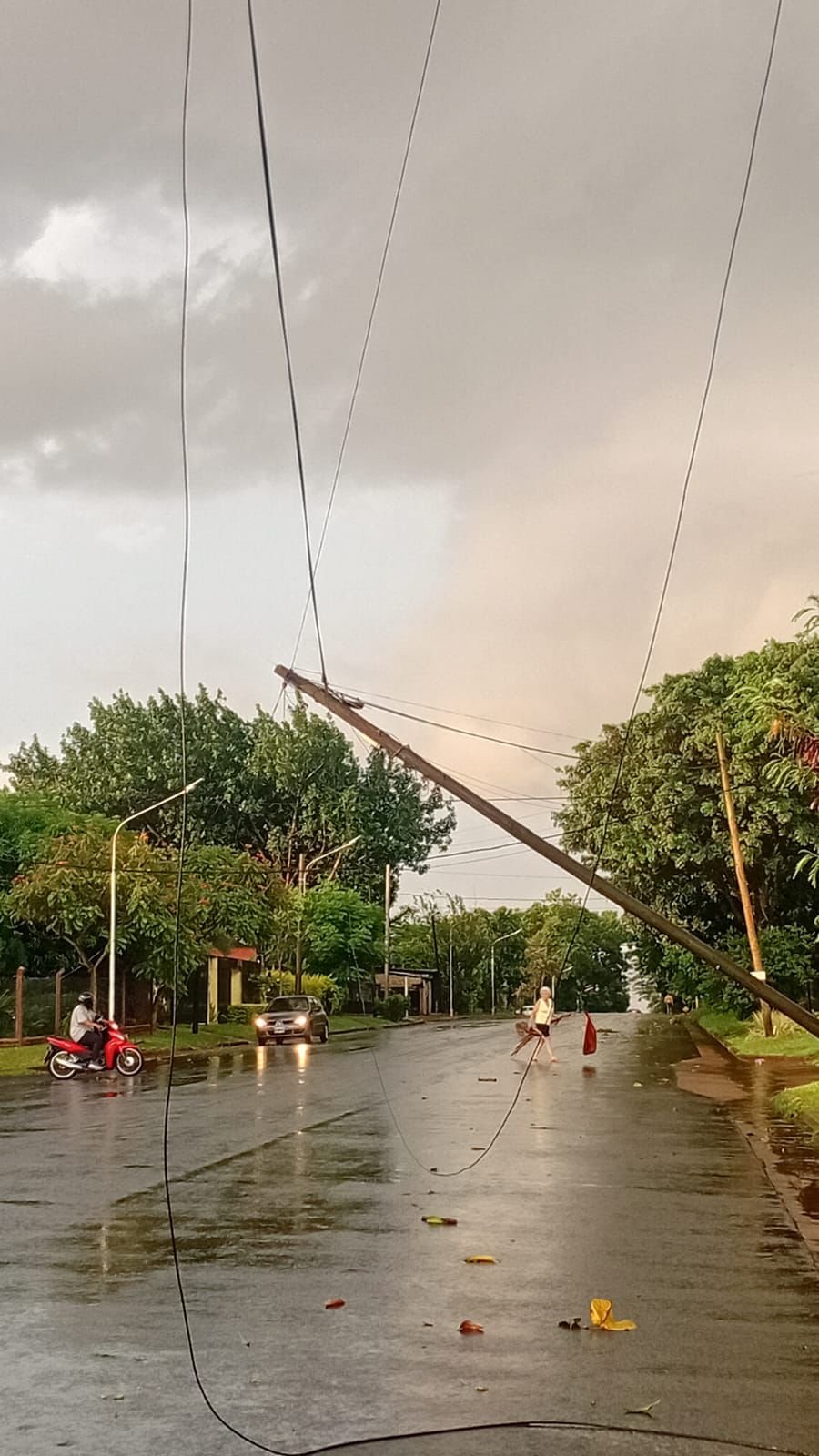 Energía de Misiones normalizó el servicio eléctrico tras el temporal en la ciudad de Posadas