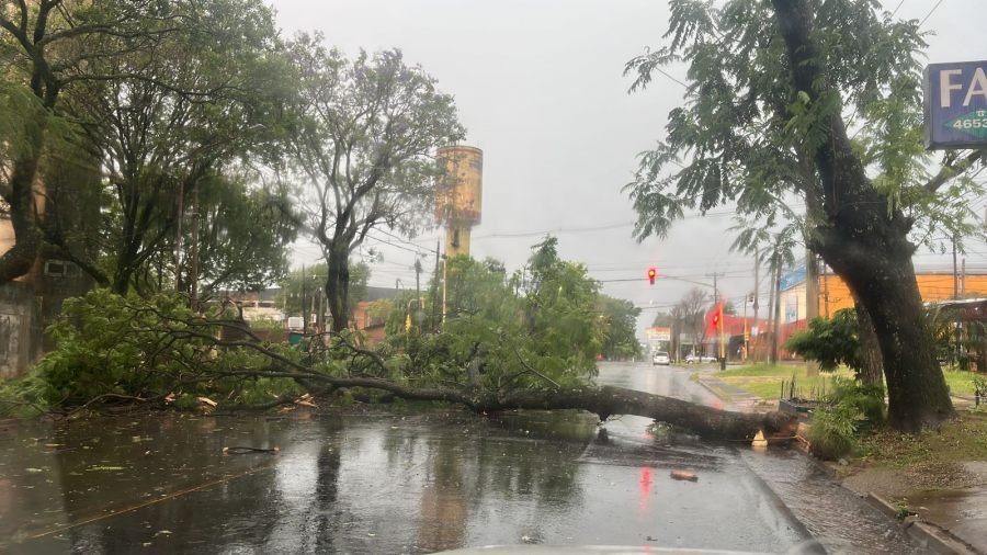 La Policía de Misiones intervino por los daños del temporal en distintos puntos en la ciudad de Posadas