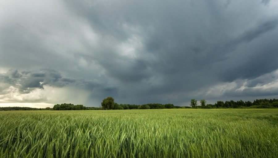 Volvió el invierno a gran parte del país: Avanza un frente frío, con riesgo de heladas que podrían afectar a los cultivos