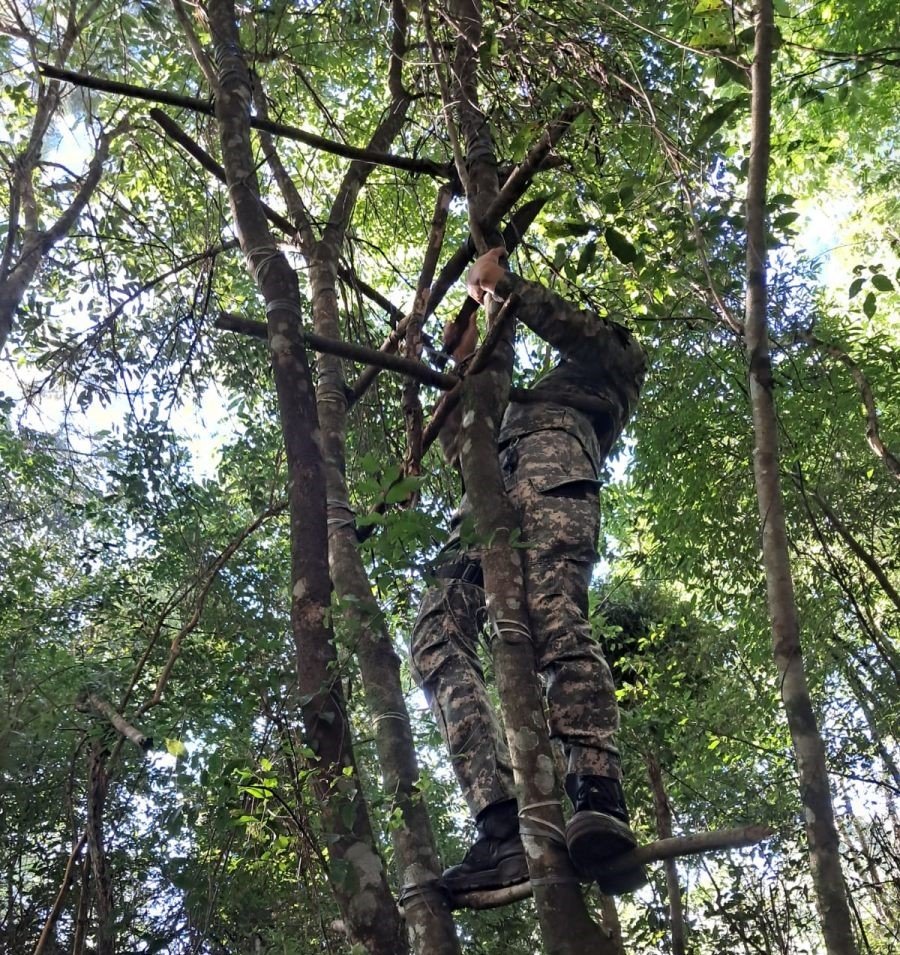 Misiones: La selva se protege con patrullas policiales continuas, desmantelaron dispositivos para caza furtiva