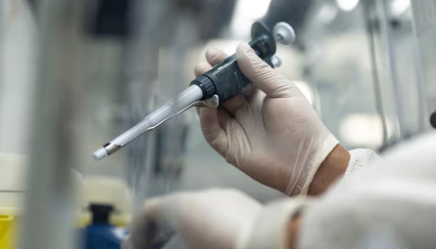 Confirmaron el primer caso en la Argentina de Mpox Clado Ib, una variante más contagiosa y severa de la viruela símica