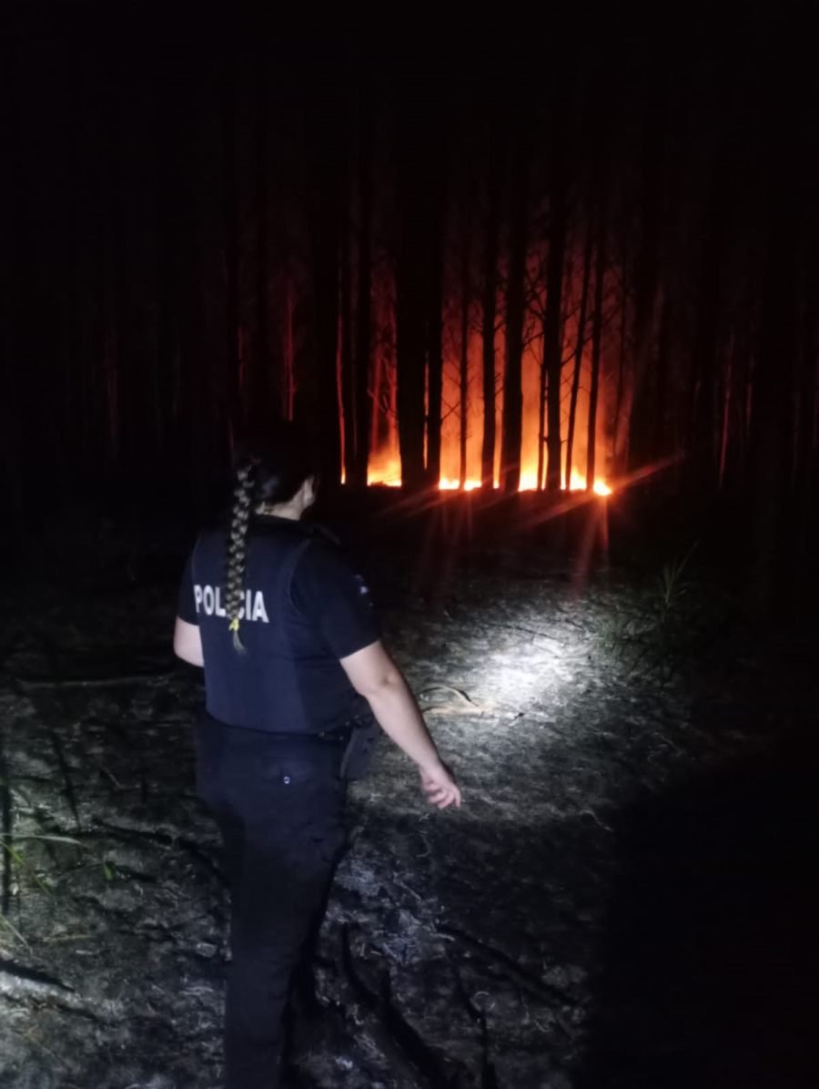 La Policía de Misiones, junto a Bomberos Voluntarios, controlaron un incendio que afectó un pinar y yerbal en el Municipio de Corpus Christi