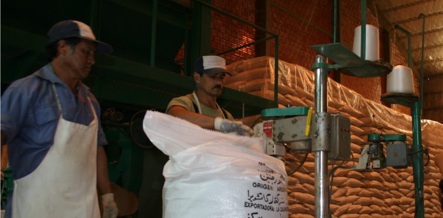 Yerba Mate: Las exportaciones siguen marcando un récord histórico y el mercado interno continúa en franca recuperación