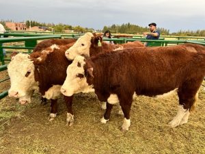 El RENATRE participó en la 92ª Expo Agrícola Ganadera y de Carnero a Campo en Chubut