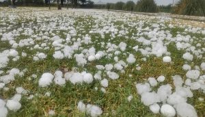 No solo sequía: Nación homologó la emergencia de otras dos provincias por granizo, heladas y entre ellas, Misiones