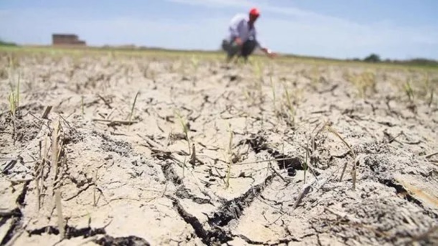Hasta 2024 por la sequía: Declararon emergencia agropecuaria en Jujuy, Neuquén y Salta