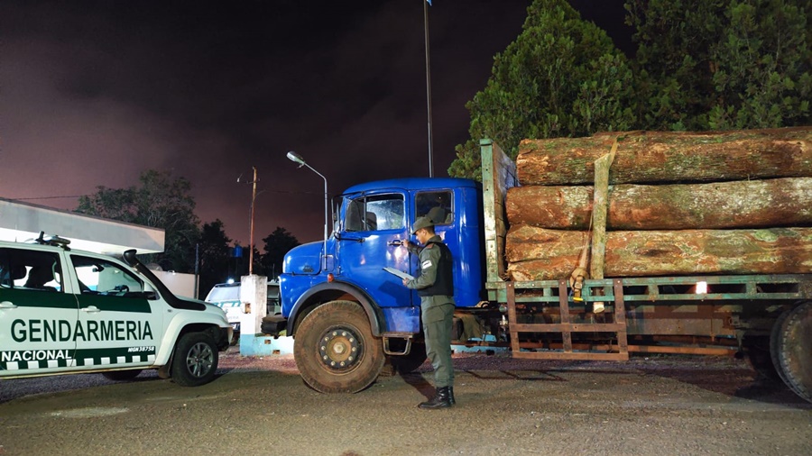 Gendarmería Nacional realizó procedimientos donde se incautó madera nativa y mercadería sin aval aduanero