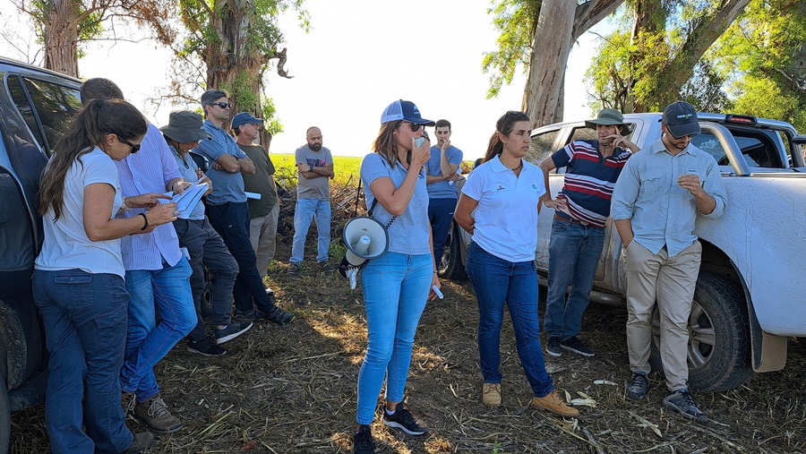 Región Sur de Santa Fe: Giras agronómicas CREA, encuentros a campo de alto valor agronómico y abiertos al público