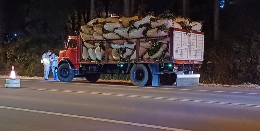 El INYM desarrolla operativos para controlar el transporte de materia prima y prevenir el robo de yerba mate