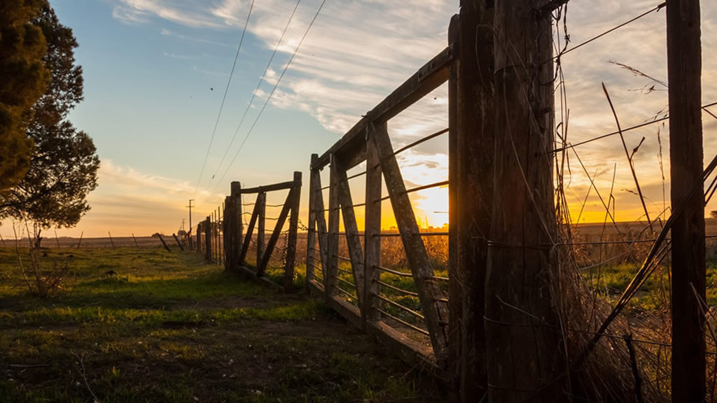Provincia de Buenos Aires: Frenan nuevos aumentos para el inmobiliario rural y lanzan paquetes de medidas para el campo