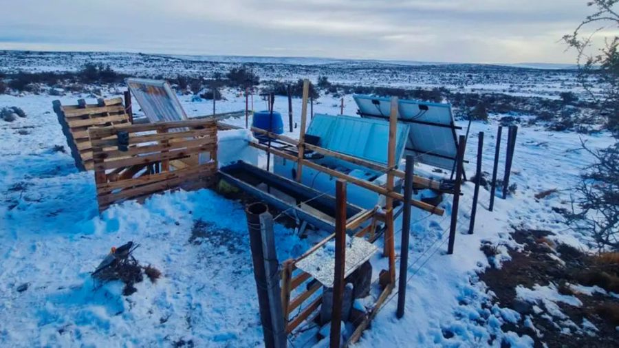 El bebedero que evita el congelamiento del agua en el campo
