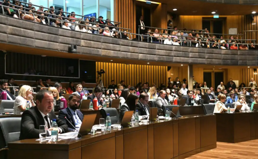 La Legislatura de la provincia de Misiones sancionó una nueva Ley para el Abordaje Integral del Cáncer de Páncreas