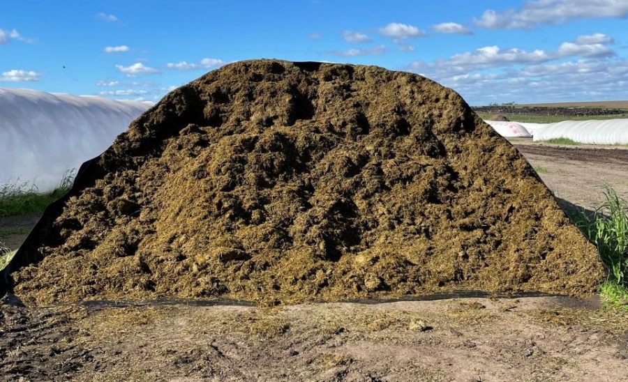 ¿Cómo recuperar 6.6 toneladas de silaje de alfalfa por silobolsa?