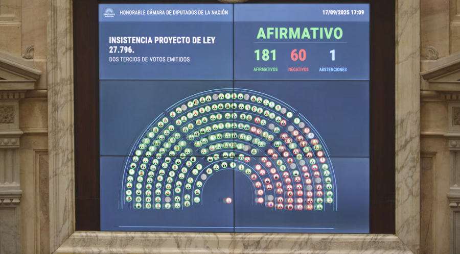 Contundente rechazo a los vetos del Presidente Javier Milei: Diputados ratificó el financiamiento del Garrahan y las universidades