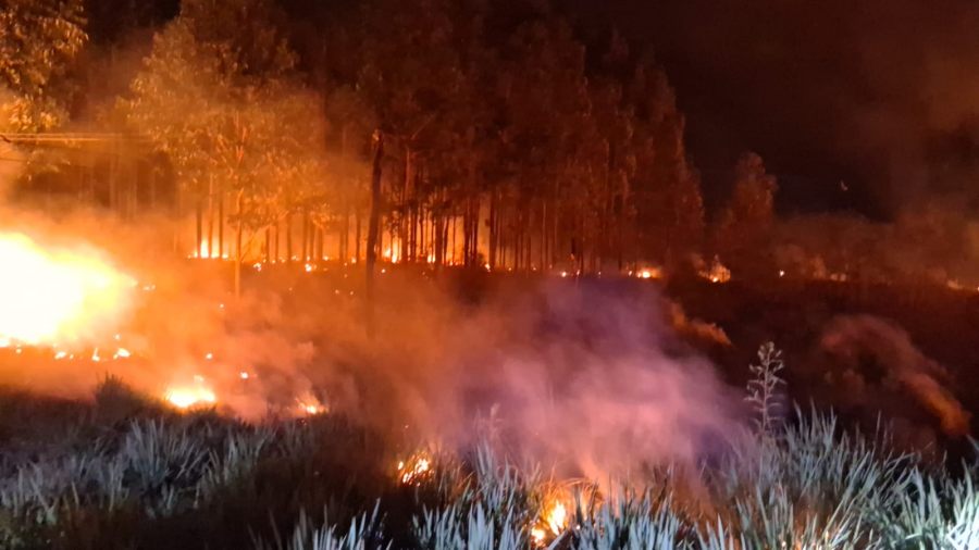 Incendio de malezas en el Municipio misionero de Santa Ana, afectó una superficie aproximada de 200 metros